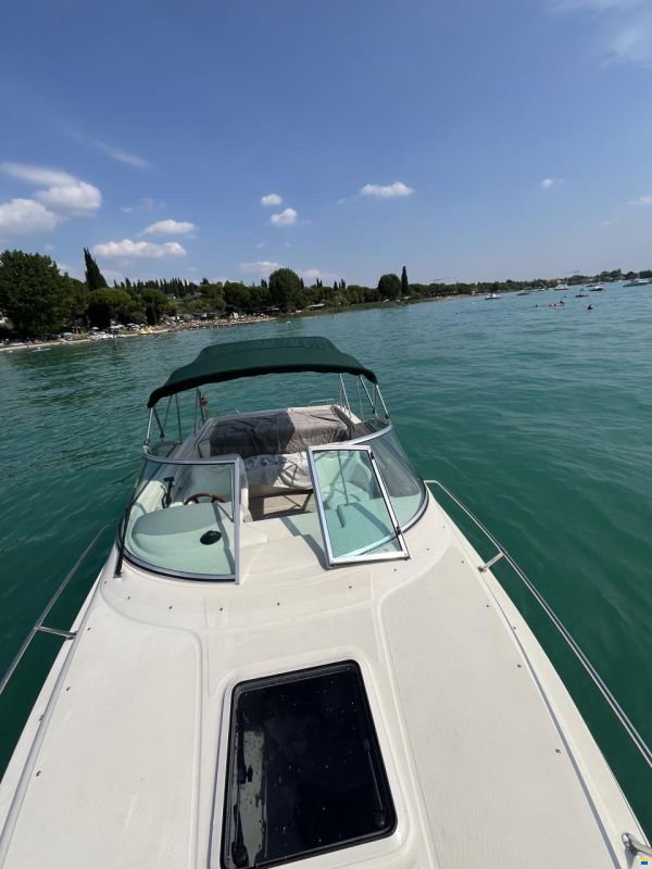 Sea Ray 260