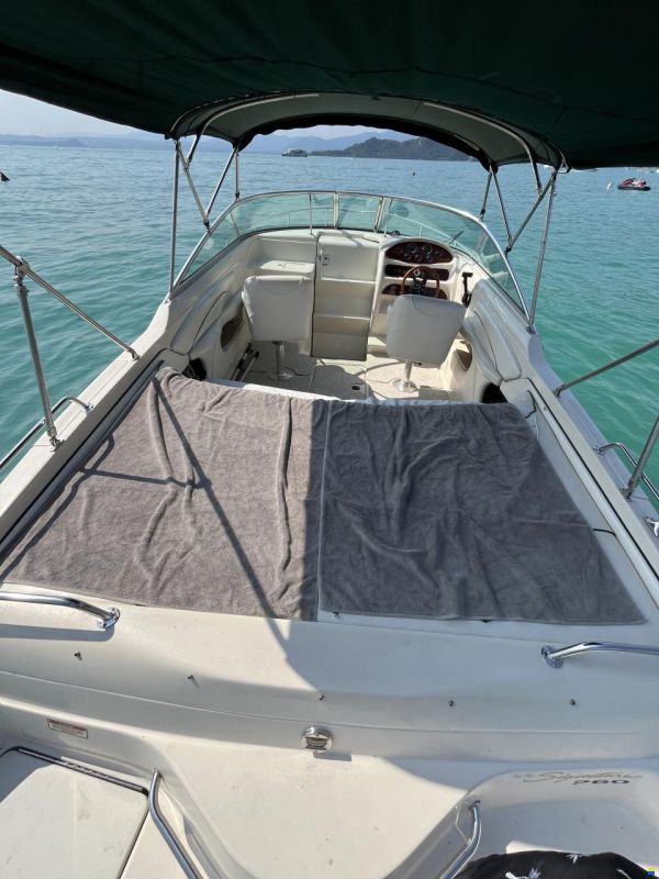 Sea Ray 260