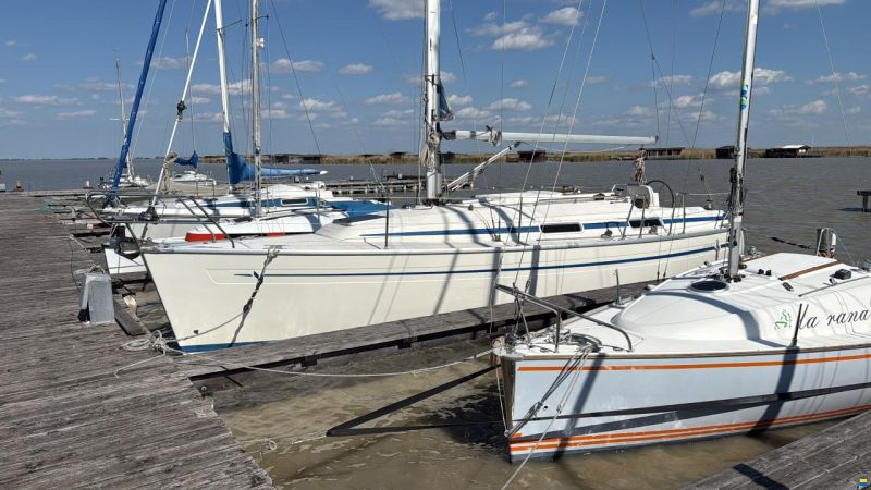 Bavaria 31