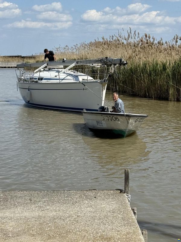 Bavaria 31