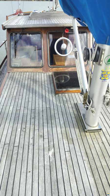 Seafinn 39