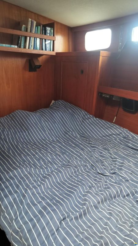 Seafinn 39