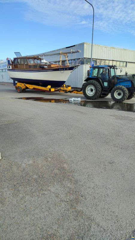 Seafinn 39