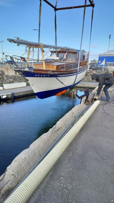 Seafinn 39