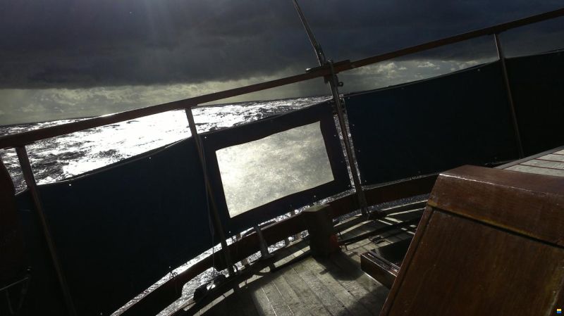 Seafinn 39