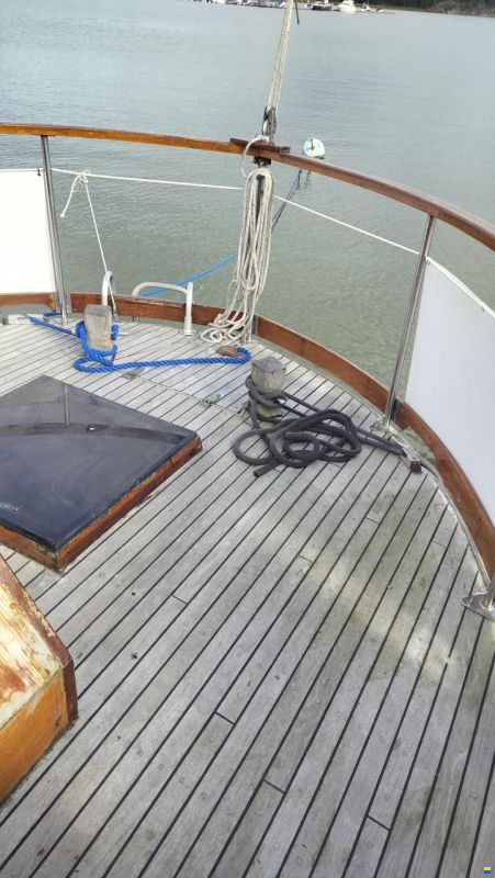 Seafinn 39