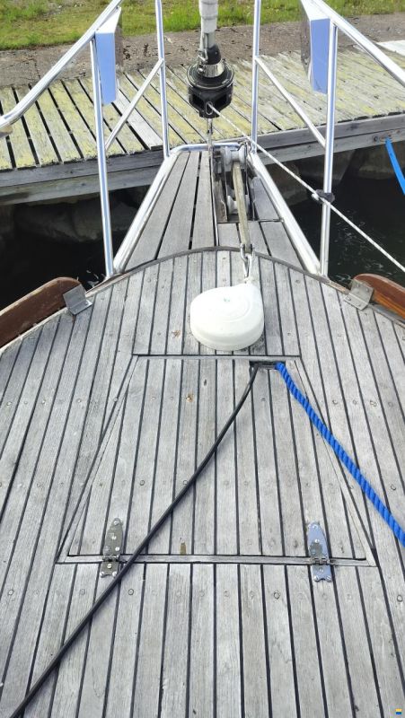 Seafinn 39