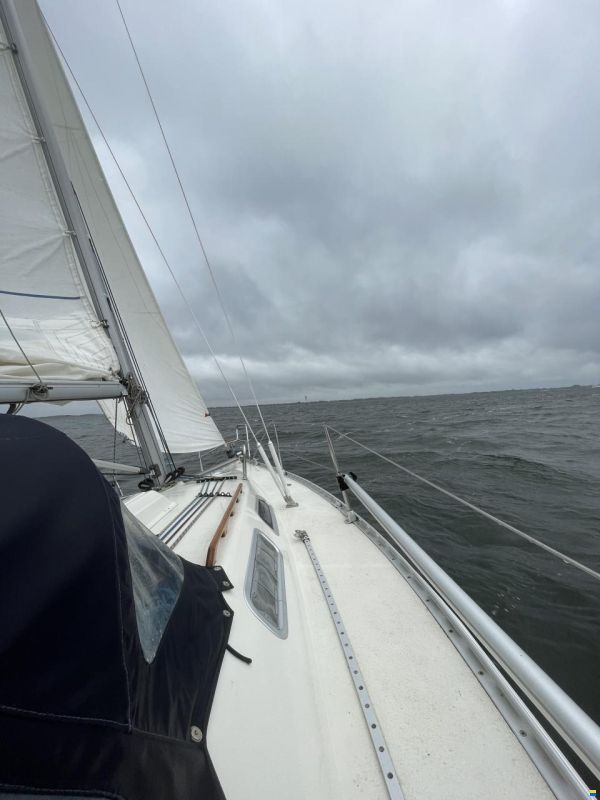 Hanse 300