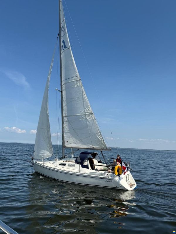 Hanse 300