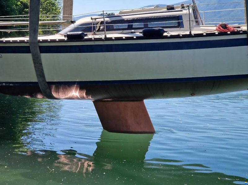 Meijer Friendship 26