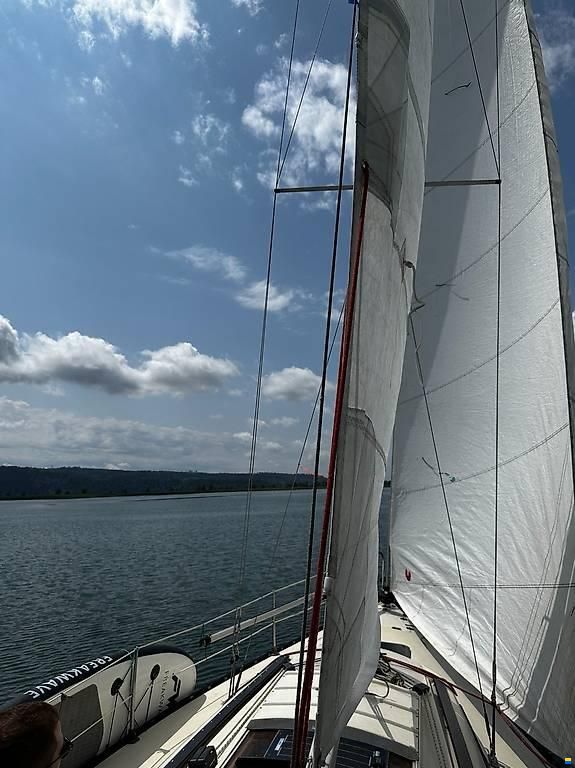 Meijer Friendship 26