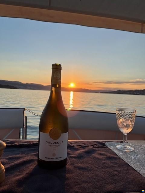 Swiss Craft Sedan Express Cruiser 9.60m