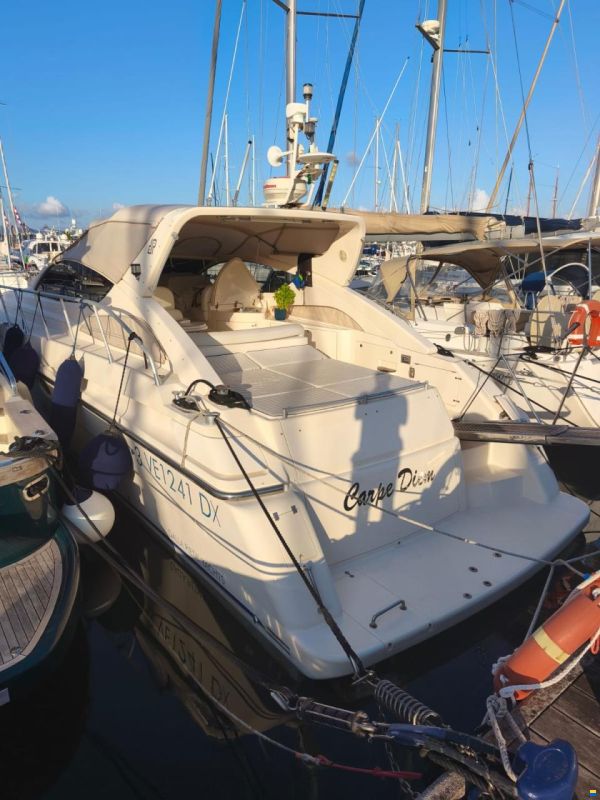 Dellapasqua DP 48