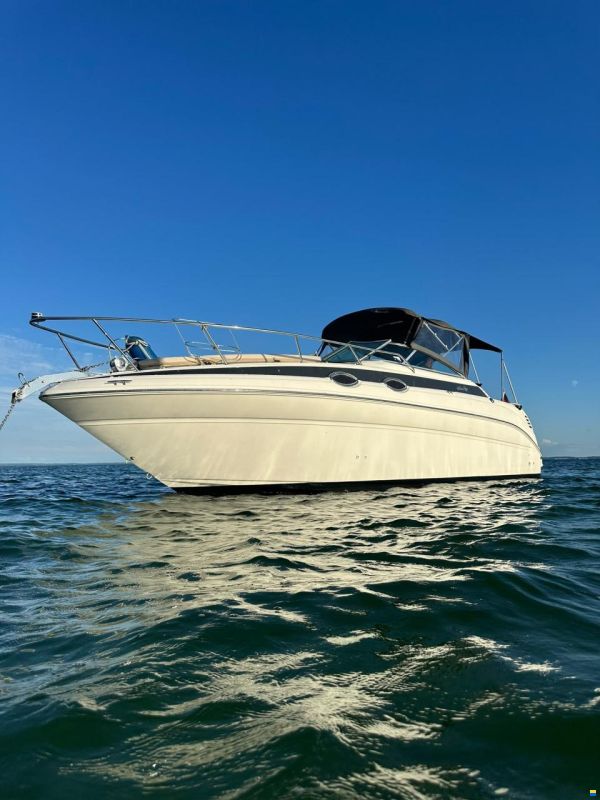 Sea Ray 260 DA Sundancer