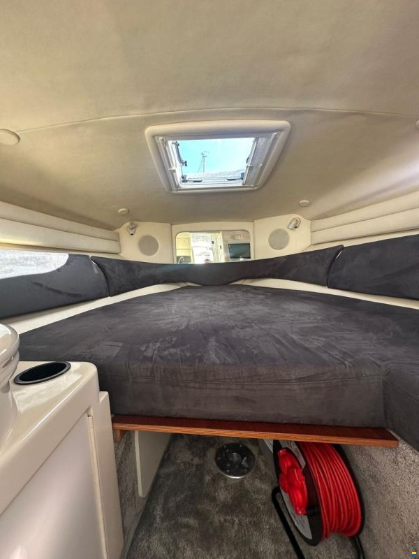 Sea Ray 260 DA Sundancer