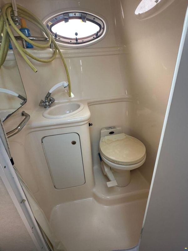 Sea Ray 260 DA Sundancer