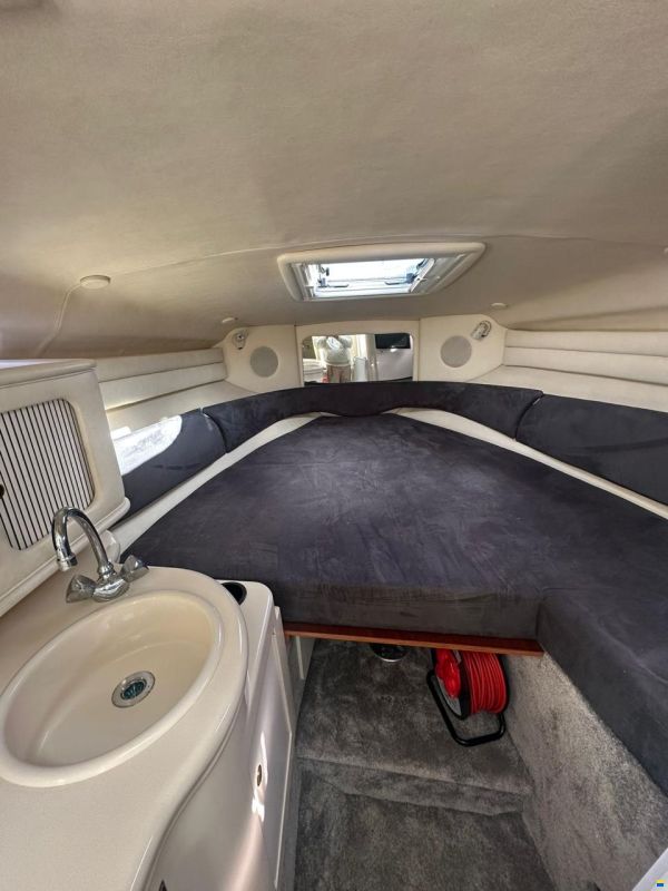 Sea Ray 260 DA Sundancer