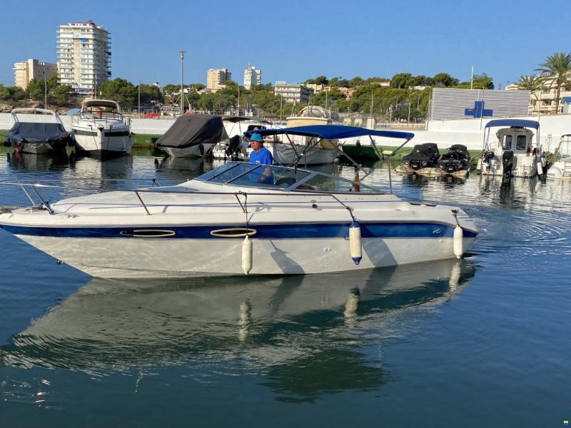 Sea Ray 24