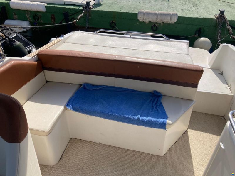 Sea Ray 24