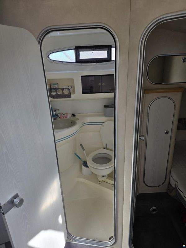 Sealine 310 Ambassador