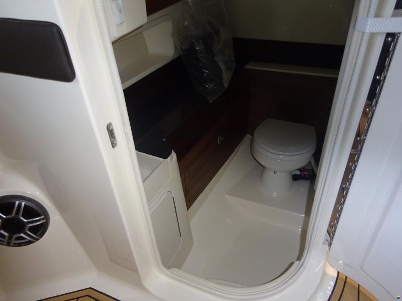 Sea Ray 290 SDXE