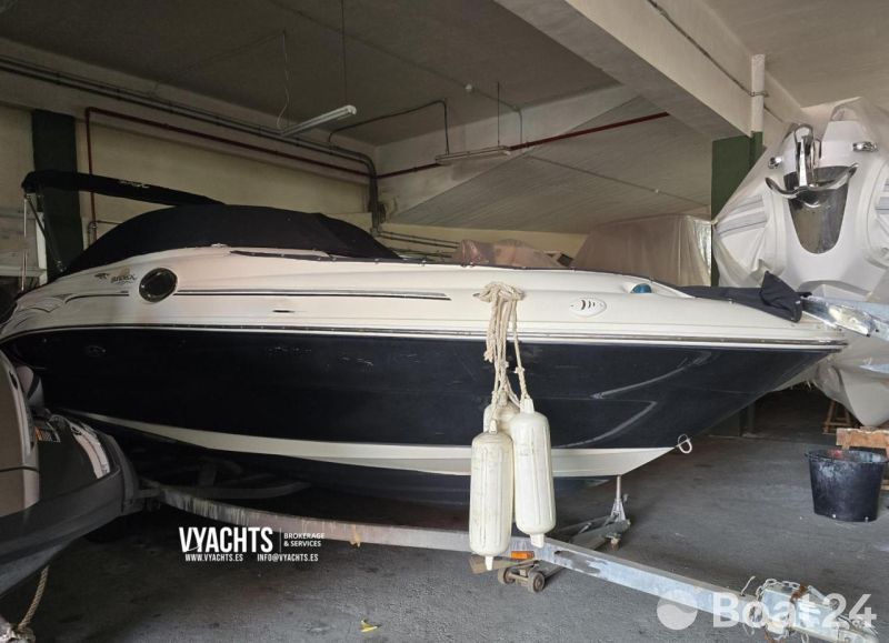 Sea Ray 240 SD