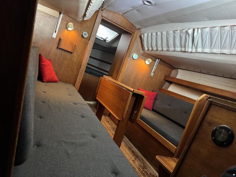 Agoni Bonita 767