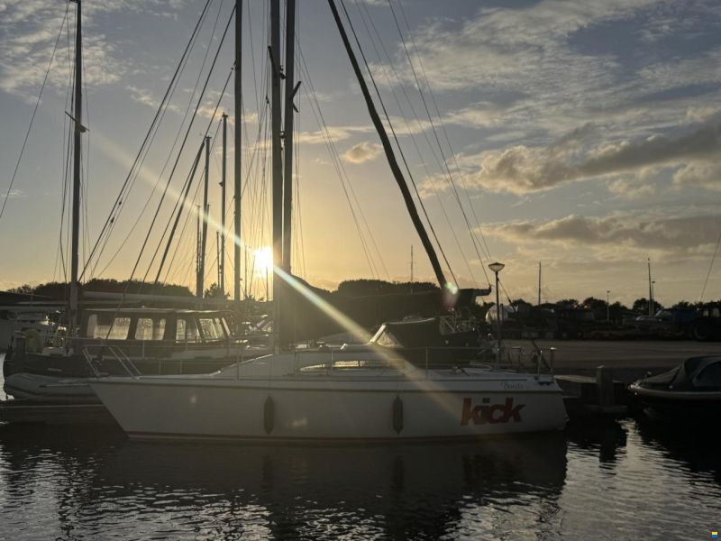 Agoni Bonita 767