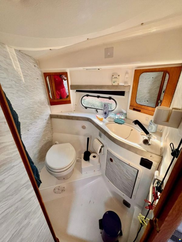 Sealine 365 Sportbridge