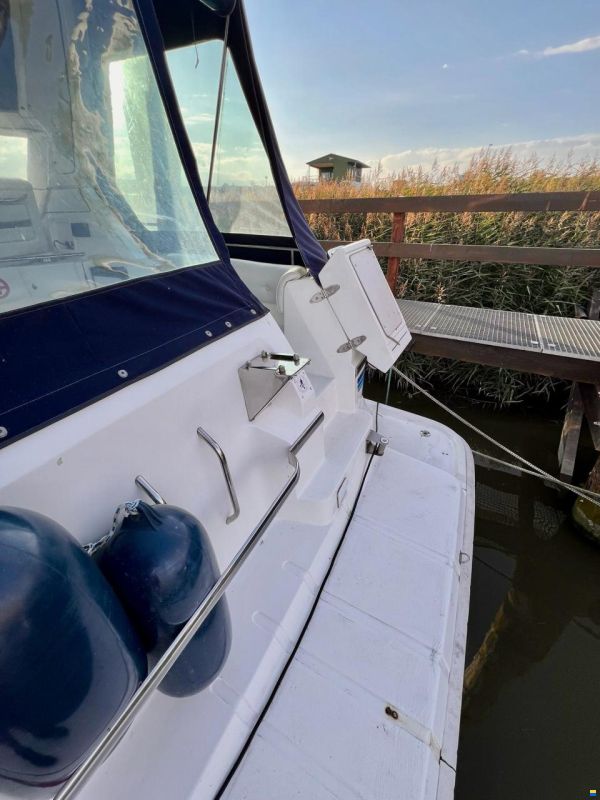 Sealine 365 Sportbridge