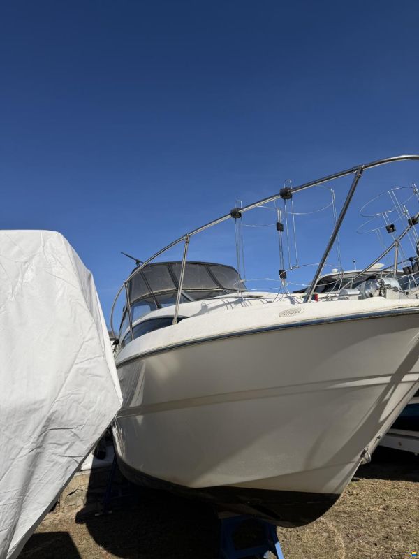Bayliner 2455