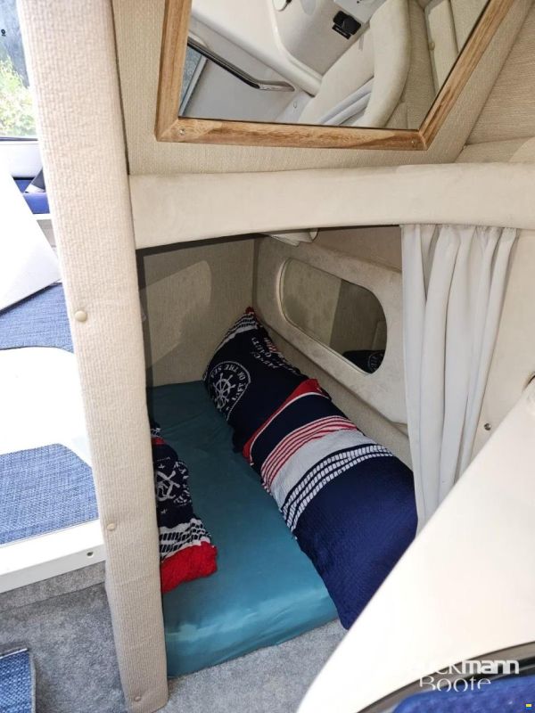 Sea Ray 250 DA