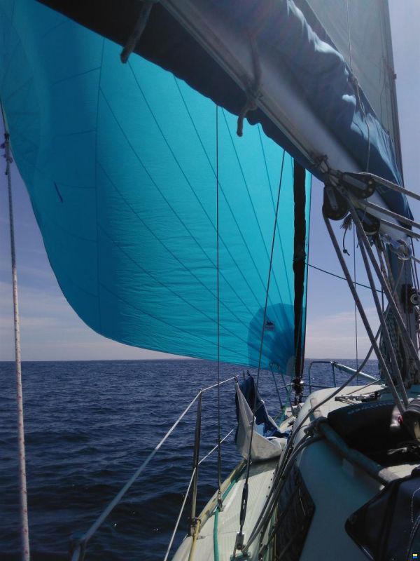 Wrighton Biloup 89