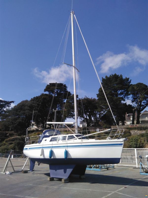 Wrighton Biloup 89