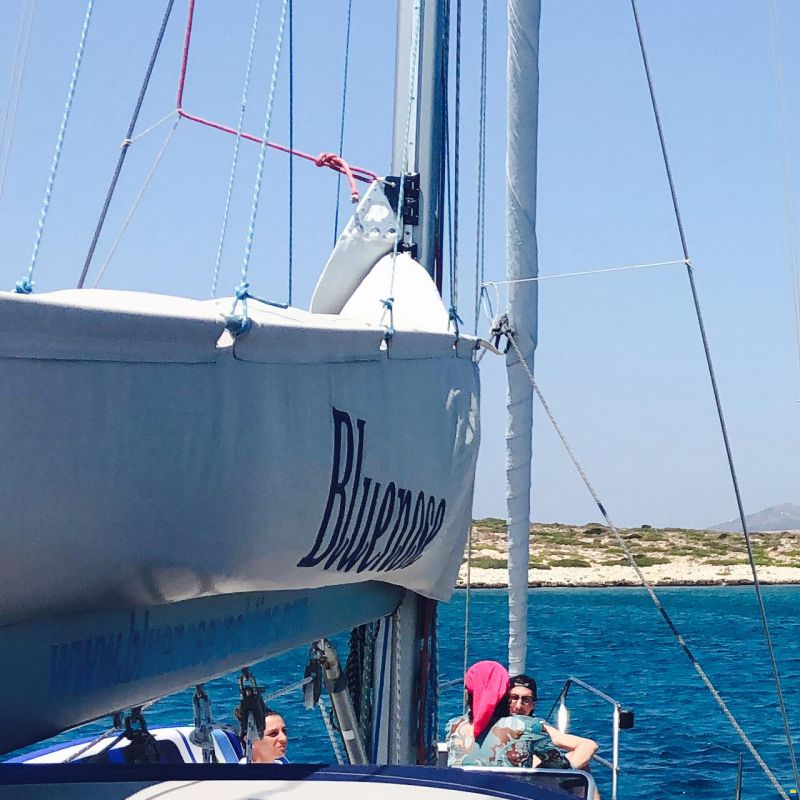Alpha 51 Lux