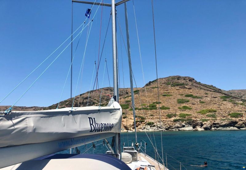 Alpha 51 Lux