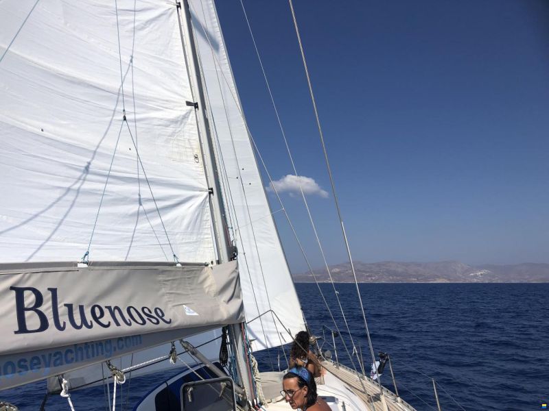 Alpha 51 Lux