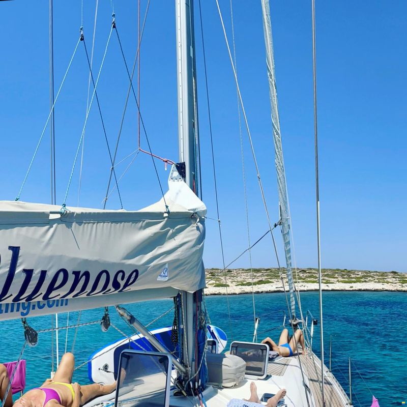 Alpha 51 Lux