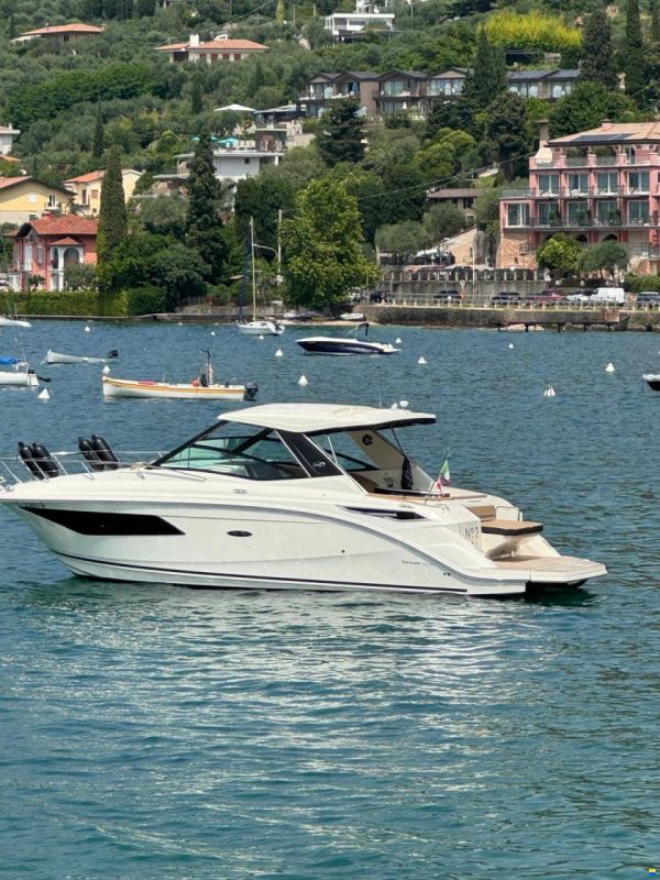 Sea Ray Sundancer 320