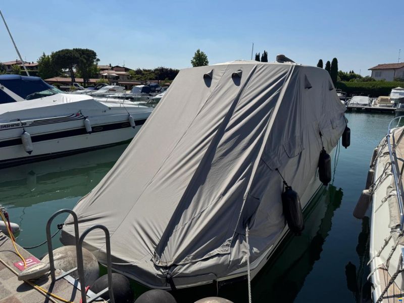 Sea Ray Sundancer 320