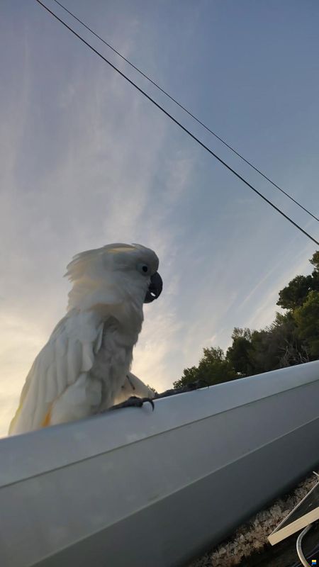 Bavaria 38 Cruiser