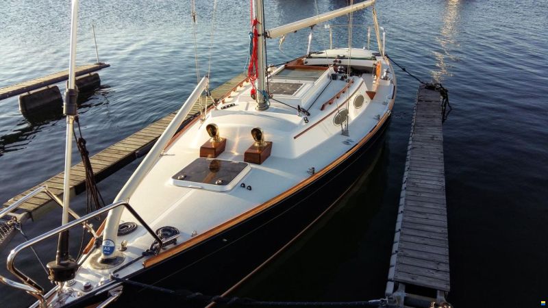 Express 28