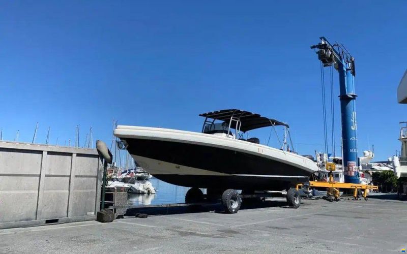Novurania Chase 31