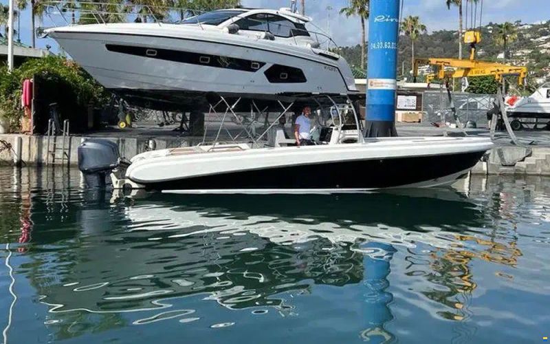 Novurania Chase 31