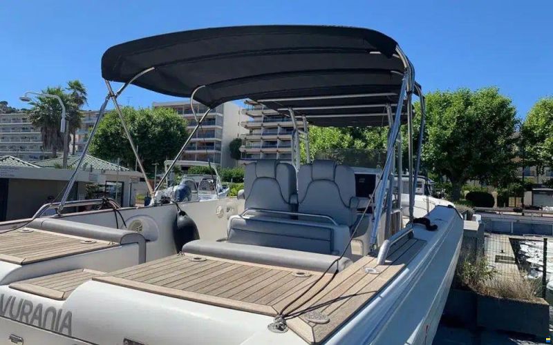 Novurania Chase 31