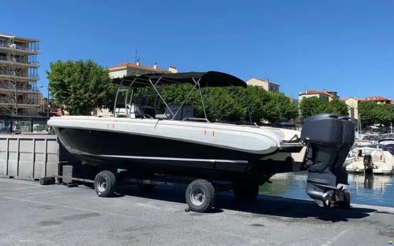 Novurania Chase 31