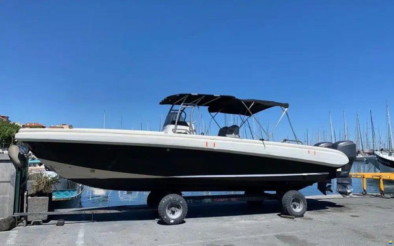 Novurania Chase 31