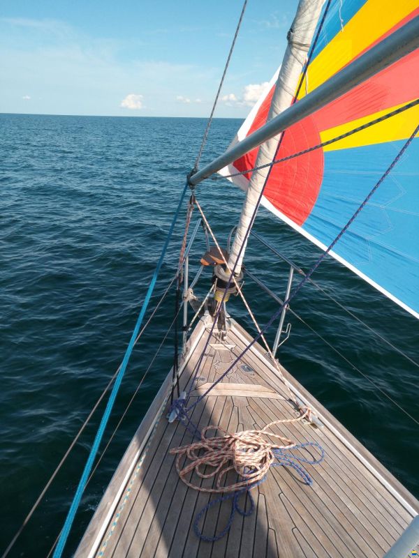 Alpa 950