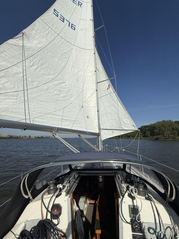 Parker 335