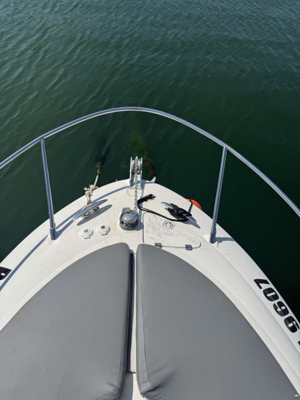 Sessa Oyster 25